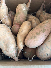 Load image into Gallery viewer, 10 lb box Sweet Potatoes