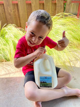 Load image into Gallery viewer, Gallon Raw Milk