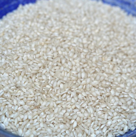 Mississippi Arborio Rice - (GF)