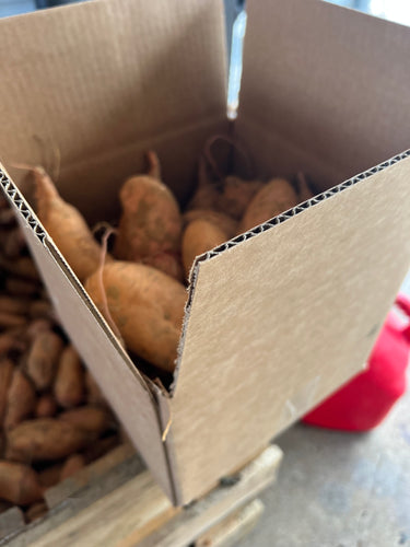 10 lb box Sweet Potatoes
